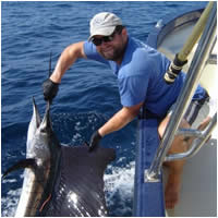 Billfish gallery